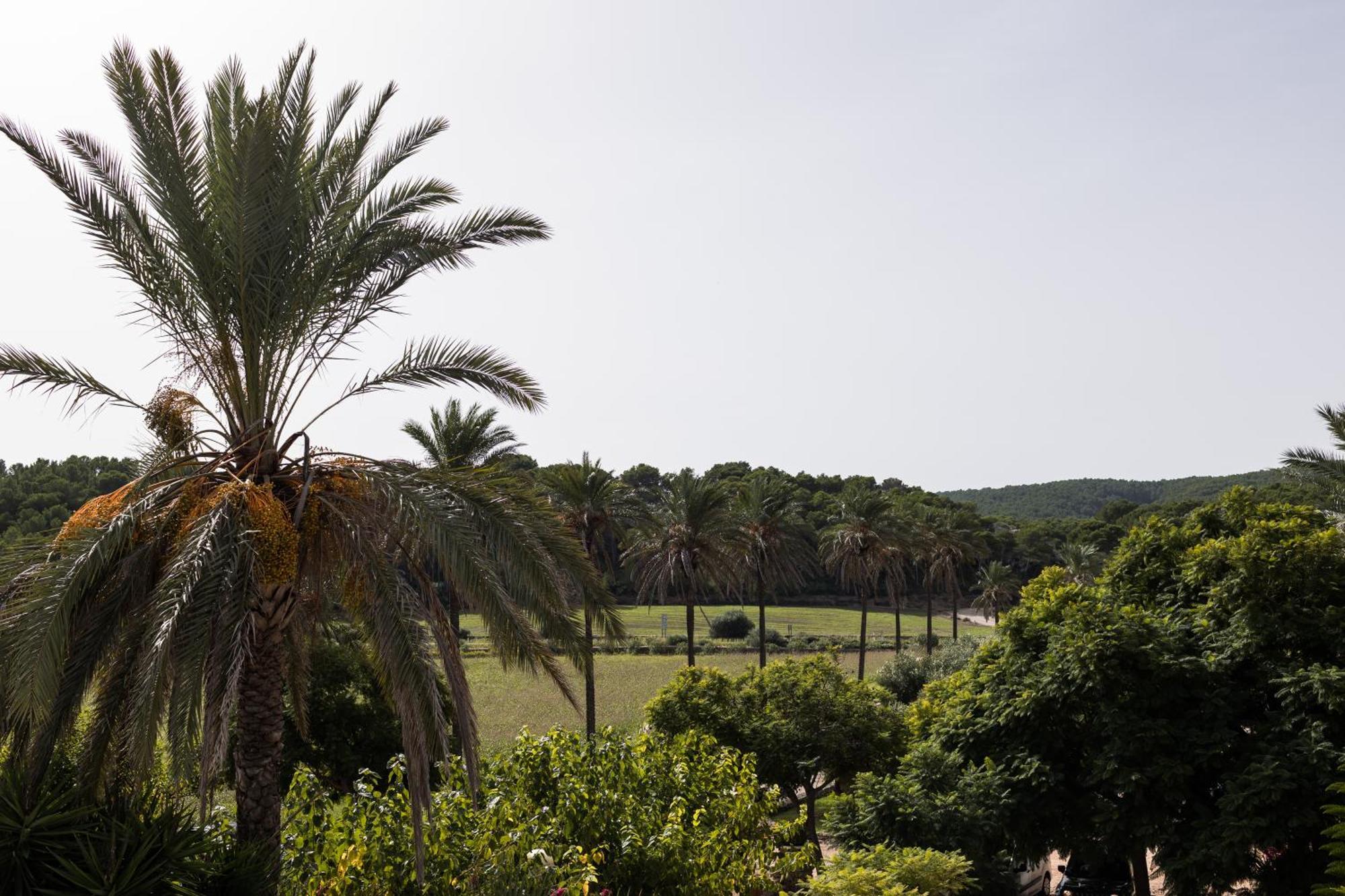 Hotel Llucatx Menorca *